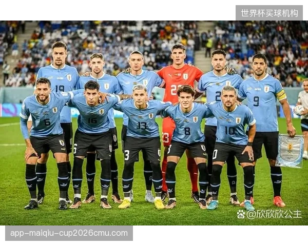 若与乌拉圭同组，比赛将充满高强度身体对抗，纪律控制是关键。