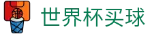 FIFA世界杯买球手机官方平台推荐 | 2026世界杯买球指定网站